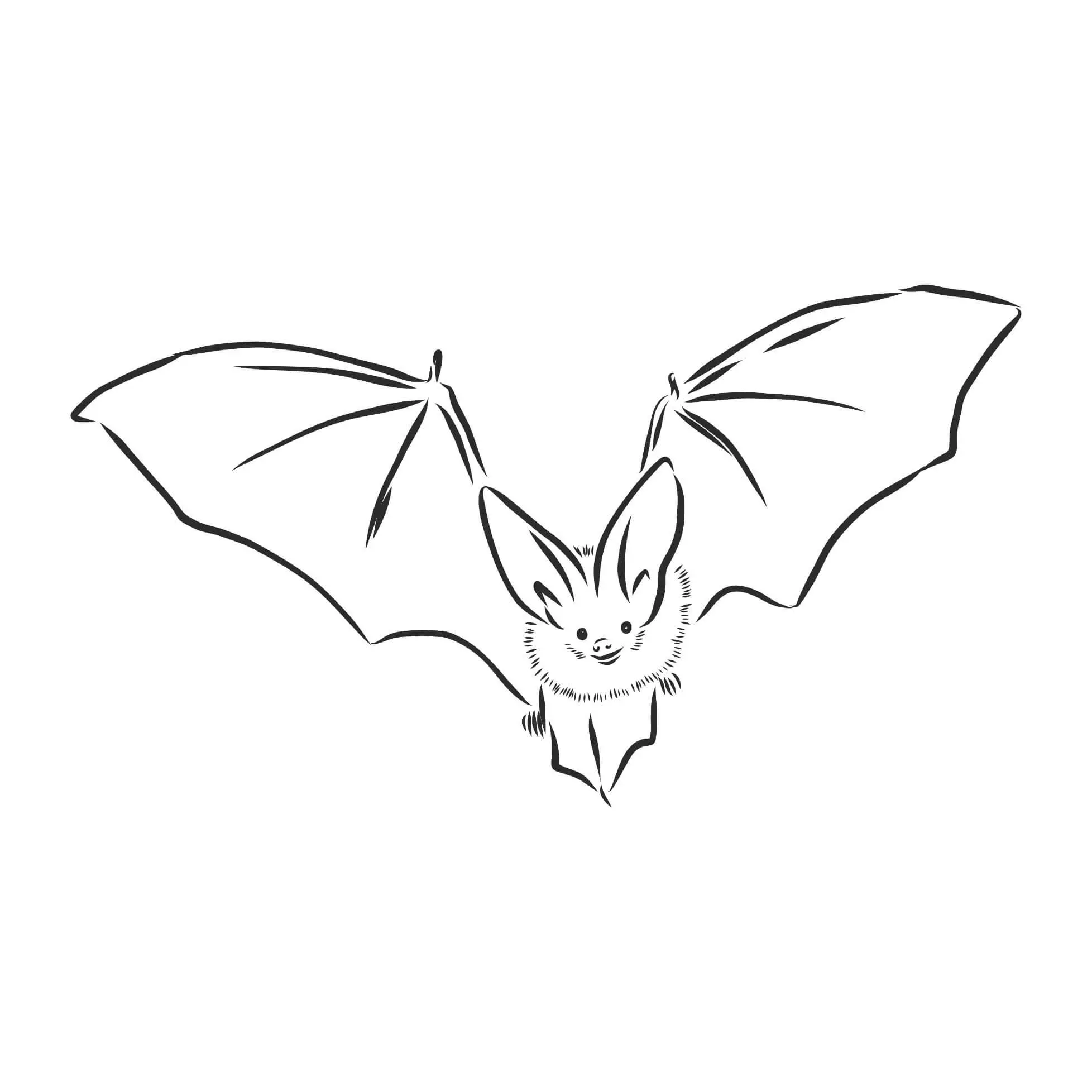 Free Bat Picture To Color In