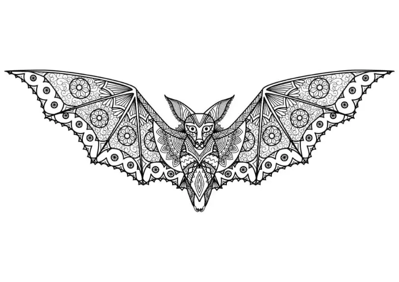Free Bat Picture To Color In