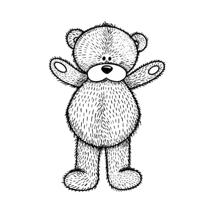 Free Bear Picture To Color In