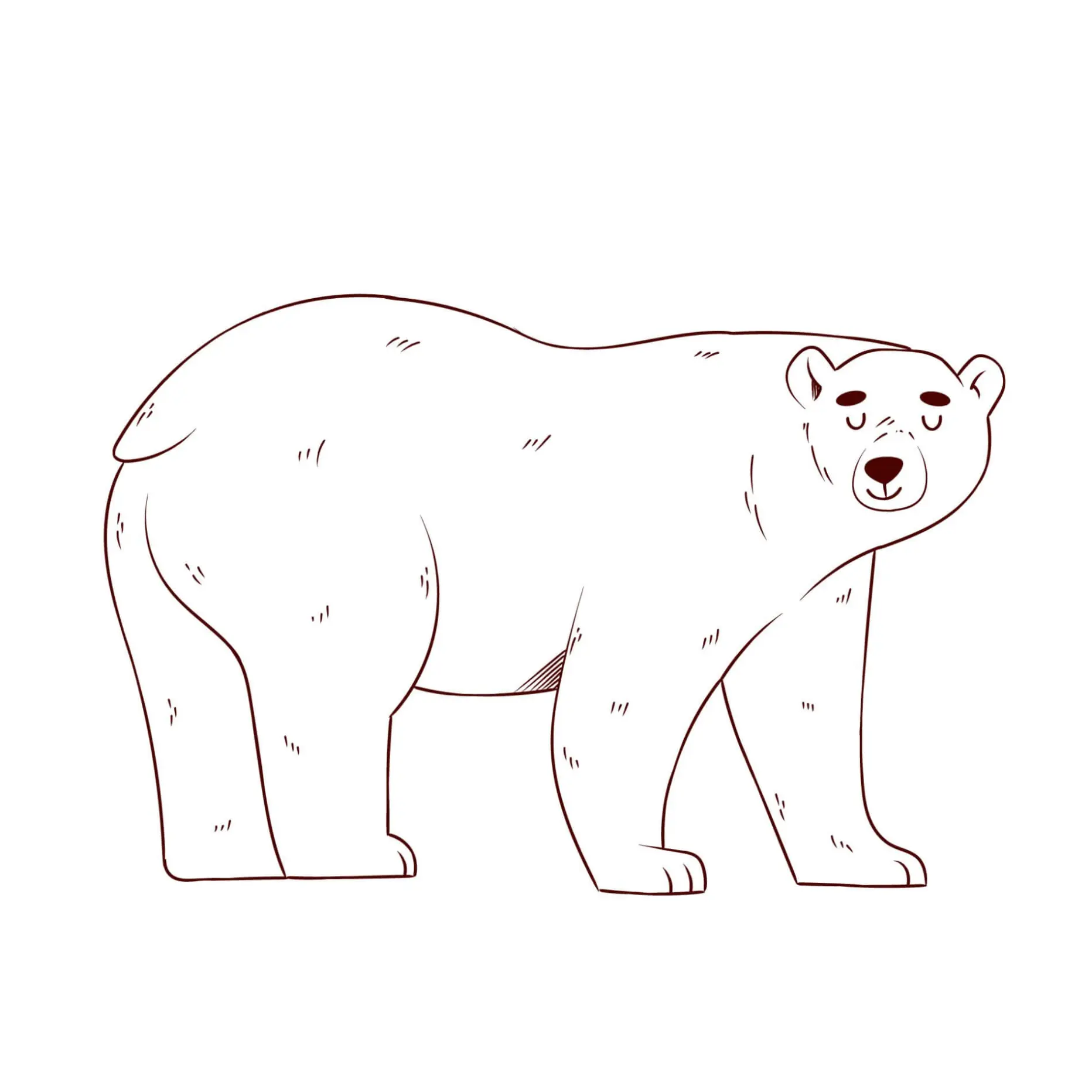Free Bear Picture To Color In