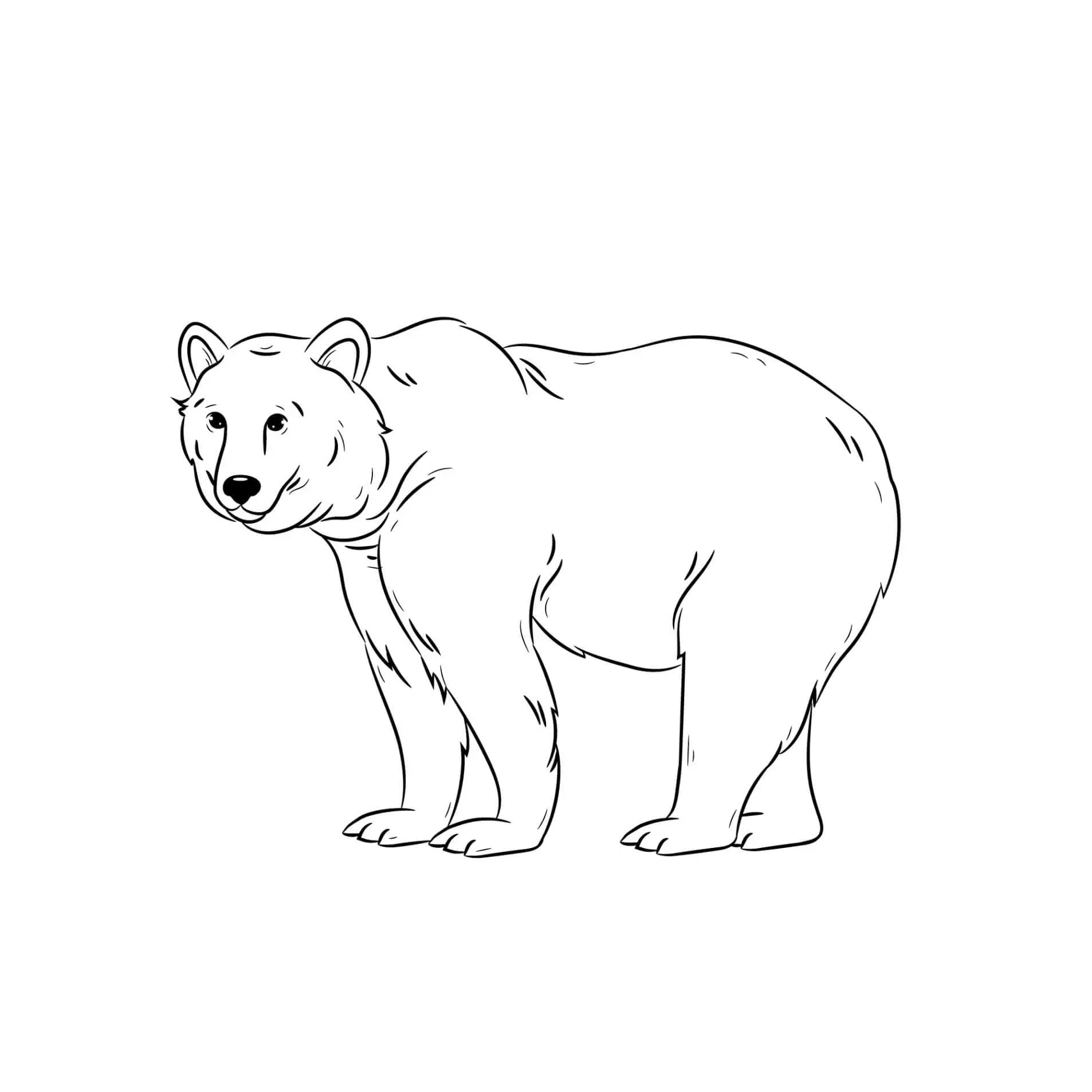 Free Bear Picture To Color In 81