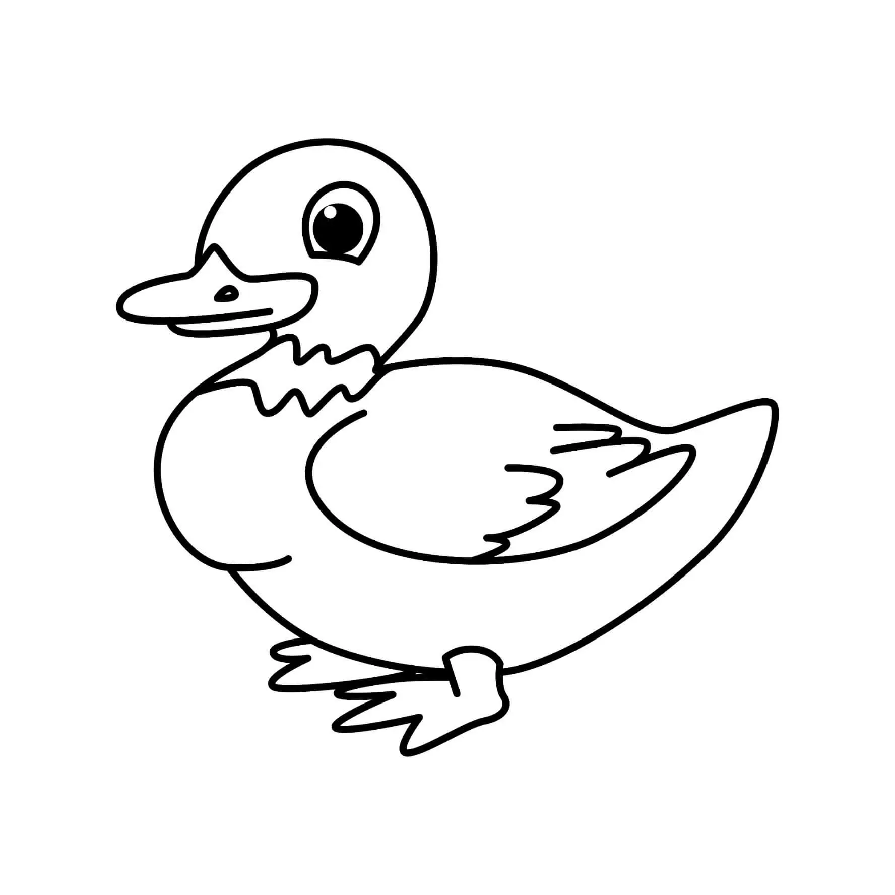 Free Bird Picture To Color In