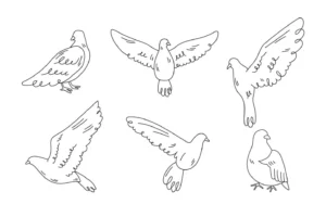Free Bird Picture To Color In