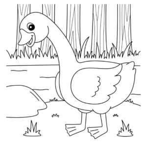 Free Bird Picture To Color In