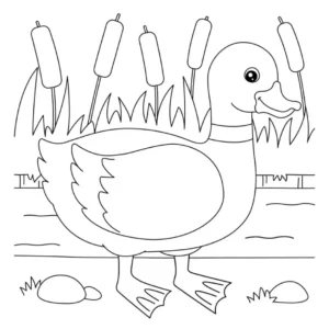 Free Bird Picture To Color In