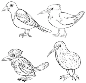 Free Bird Picture To Color In