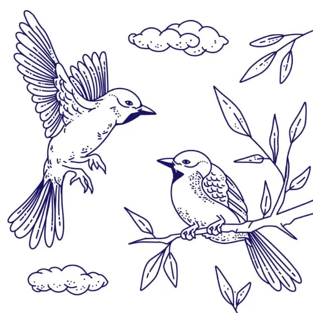 Free Bird Picture To Color In