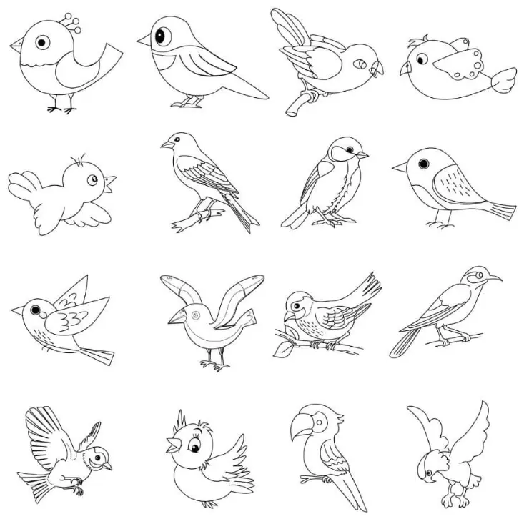 Free Bird Picture To Color In 20