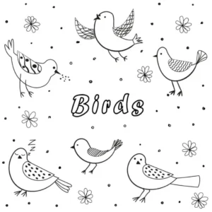 Free Bird Picture To Color In
