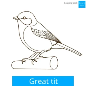 Free Bird Picture To Color In