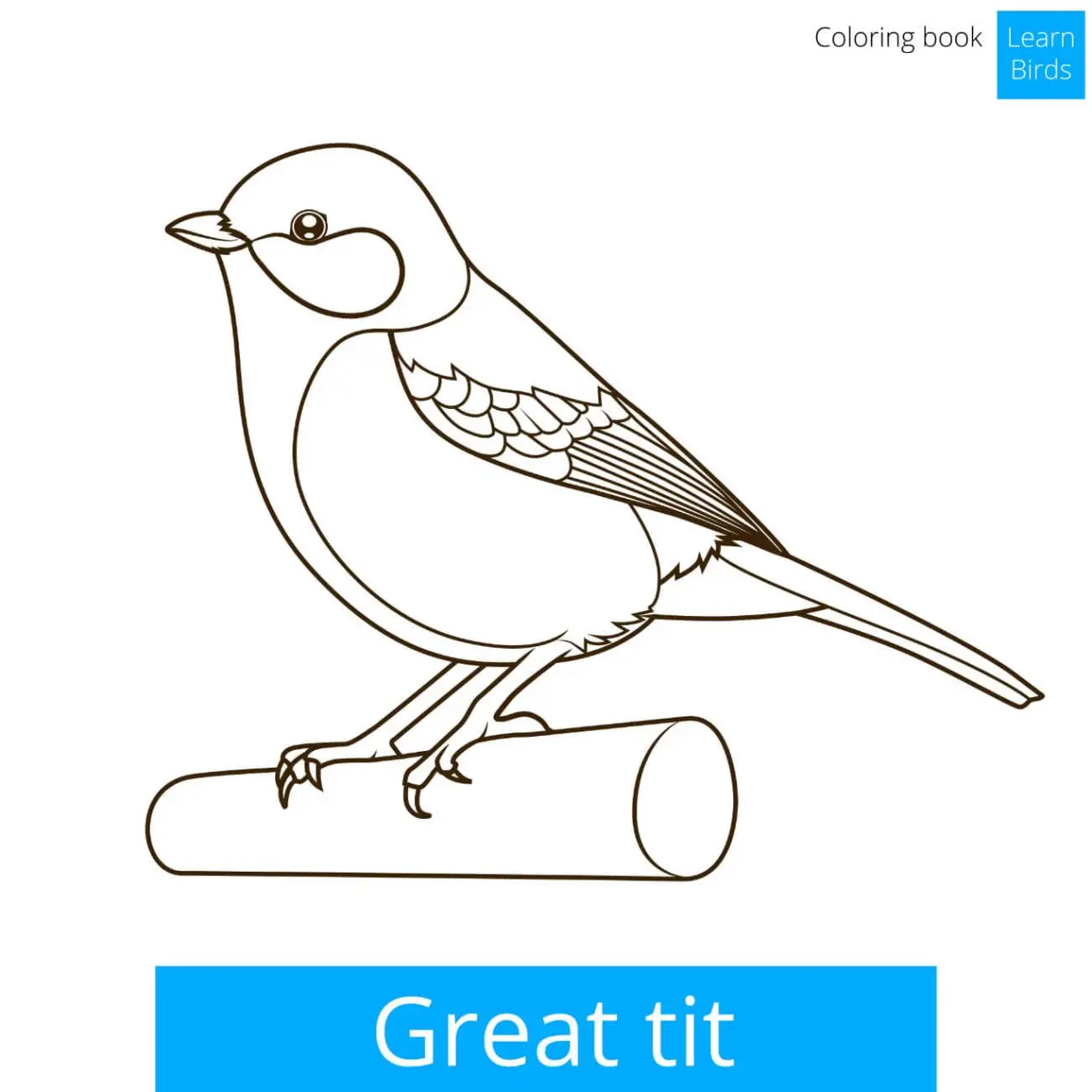 Free Bird Picture To Color In