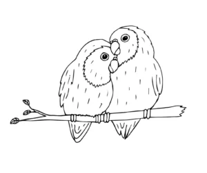 Free Bird Picture To Color In