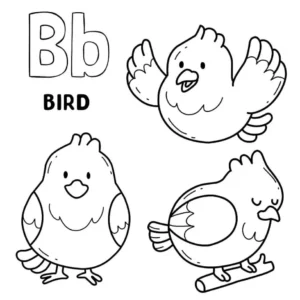 Free Bird Picture To Color In