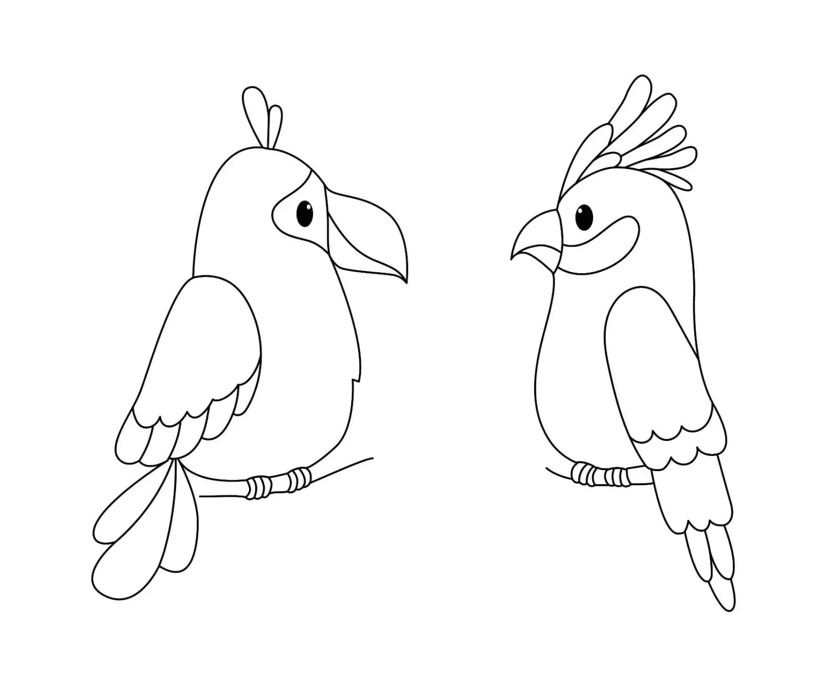 Free Bird Picture To Color In