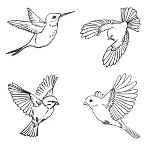 Free Bird Picture To Color In