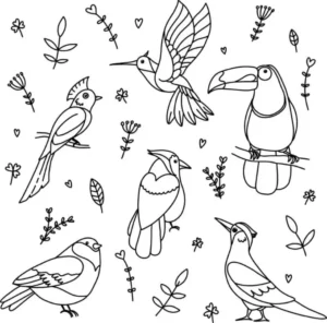 Free Bird Picture To Color In