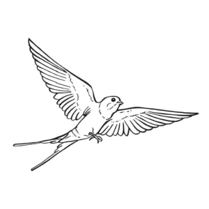 Free Bird Picture To Color In