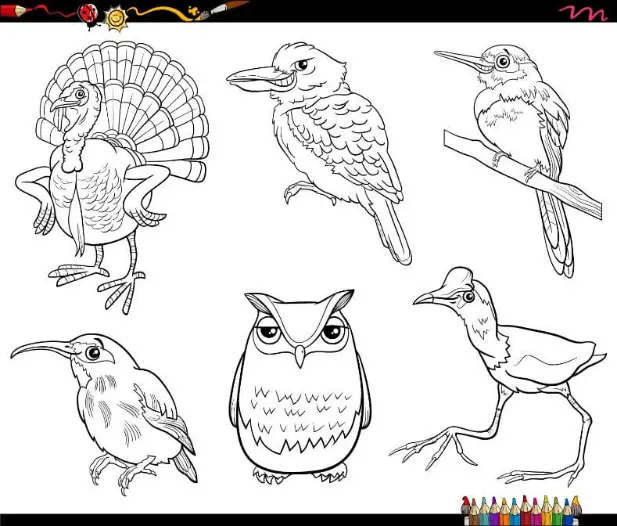 Free Bird Picture To Color In
