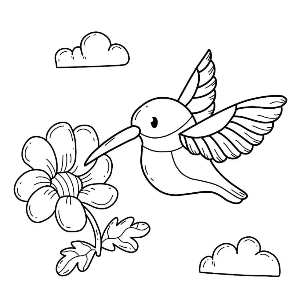Free Bird Picture To Color In