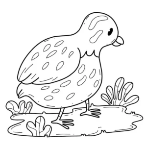 Free Bird Picture To Color In