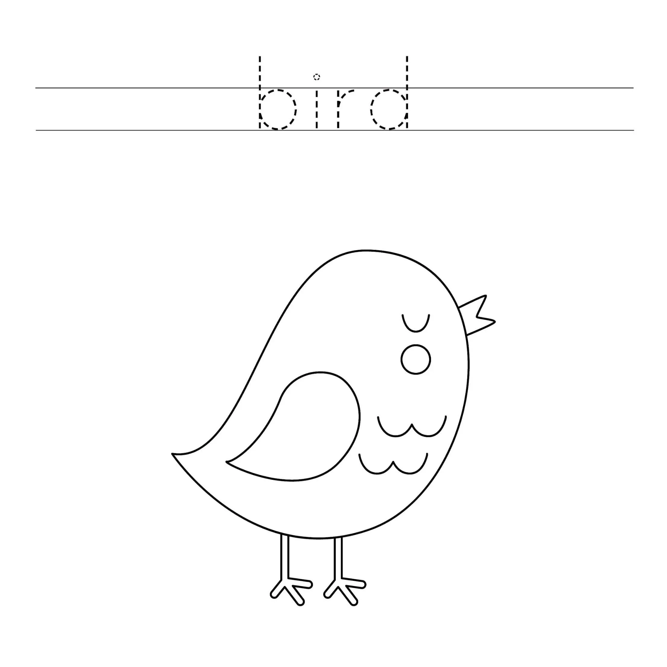 Free Bird Picture To Color In
