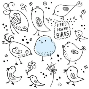 Free Bird Picture To Color In