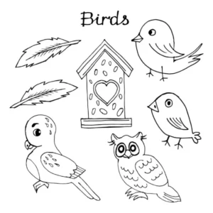 Free Bird Picture To Color In