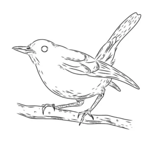 Free Bird Picture To Color In
