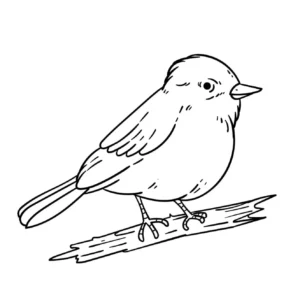 Free Bird Picture To Color In