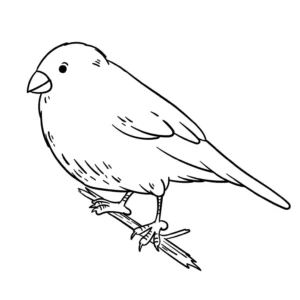 Free Bird Picture To Color In
