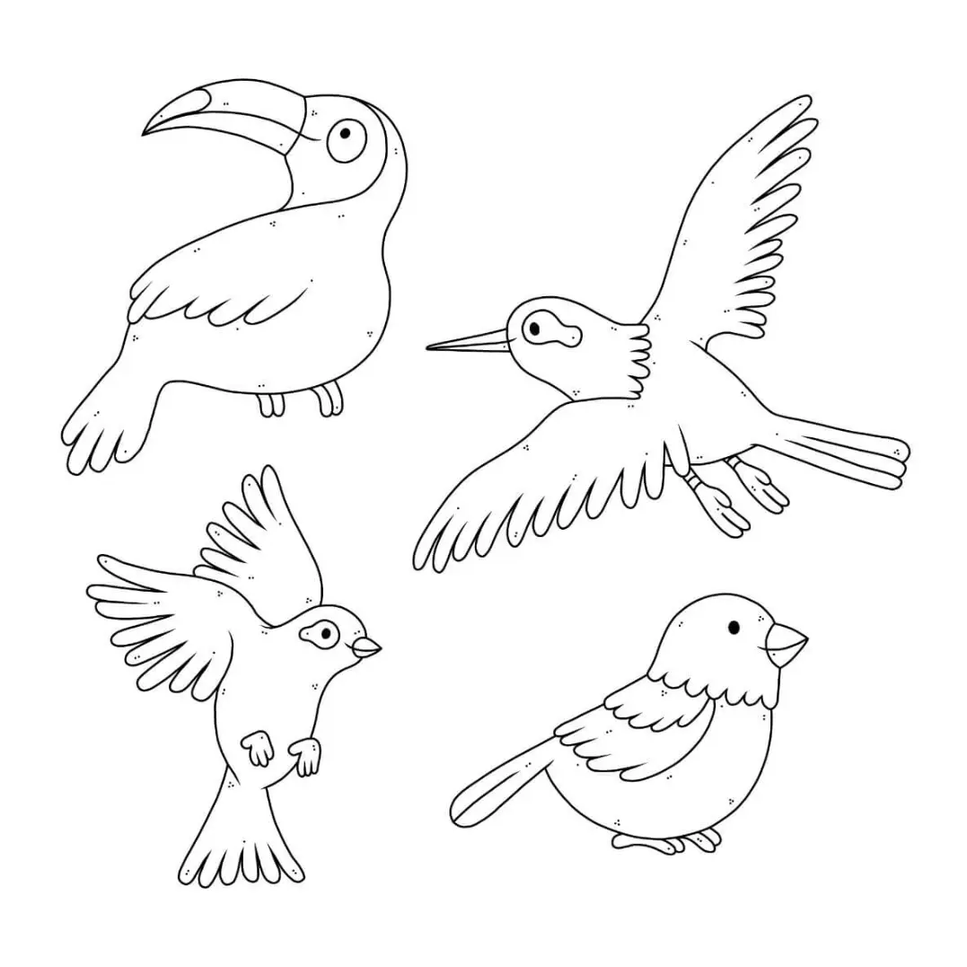 Free Bird Picture To Color In