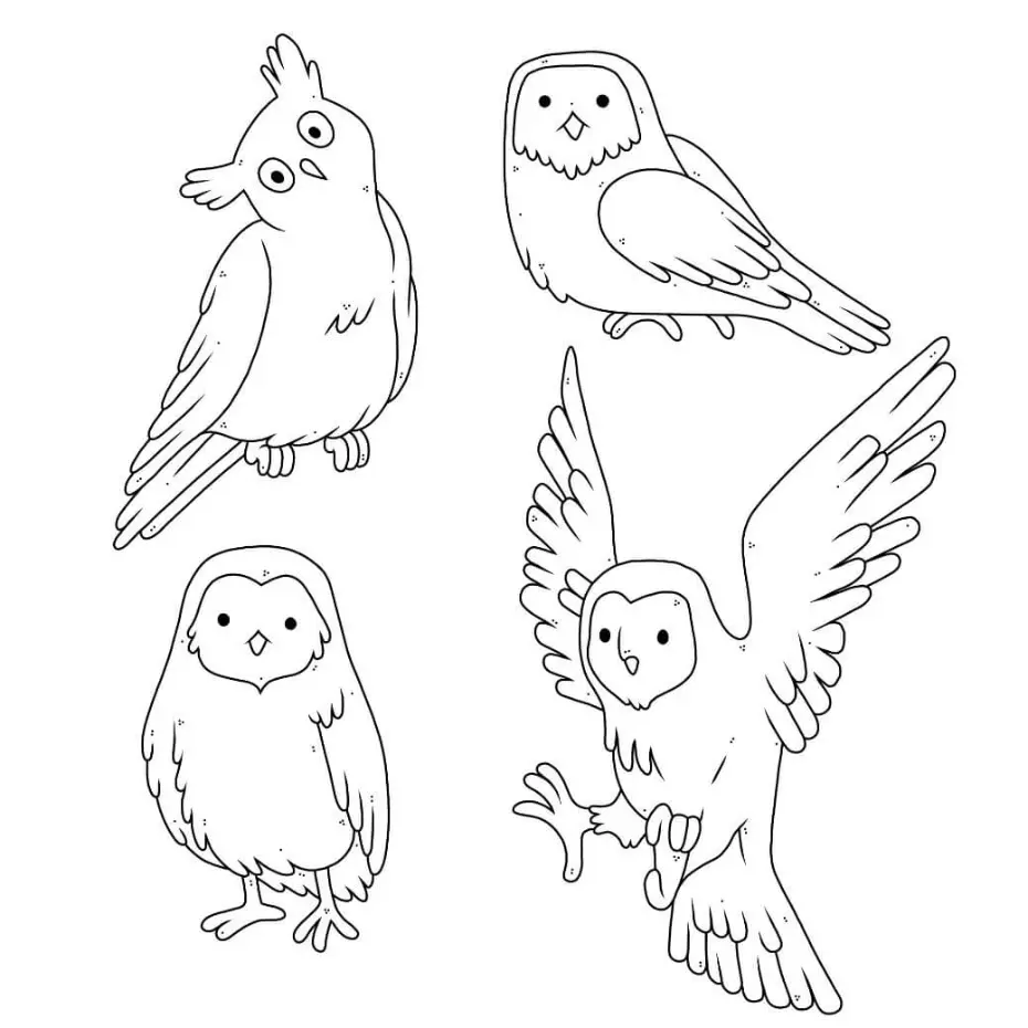 Free Bird Picture To Color In