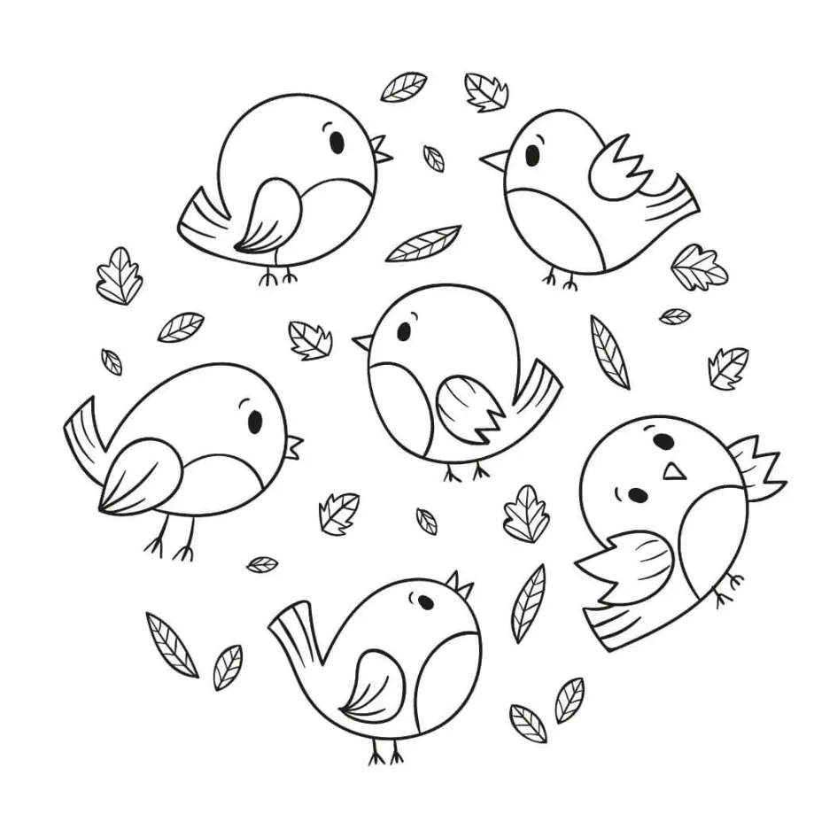 Free Bird Picture To Color In
