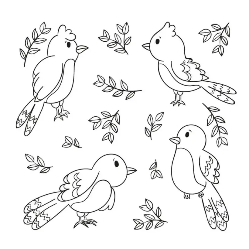 Free Bird Picture To Color In