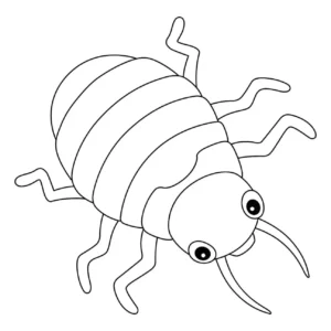 Free Bug Picture To Color In
