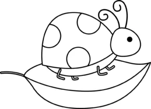 Free Bug Picture To Color In