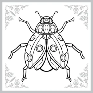 Free Bug Picture To Color In
