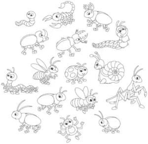 Free Bug Picture To Color In