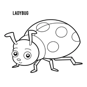 Free Bug Picture To Color In