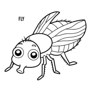 Free Bug Picture To Color In