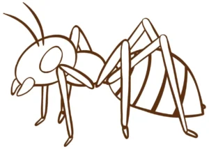 Free Bug Picture To Color In