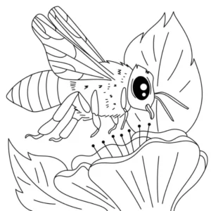 Free Bug Picture To Color In