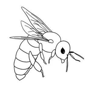 Free Bug Picture To Color In