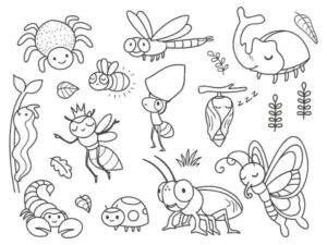 Free Bug Picture To Color In