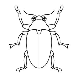 Free Bug Picture To Color In