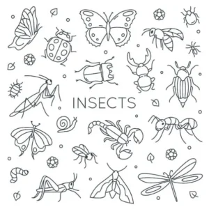 Free Bug Picture To Color In
