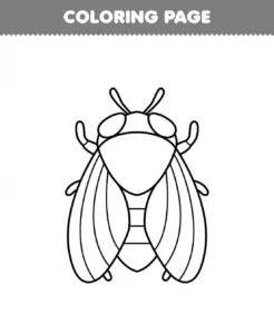 Free Bug Picture To Color In