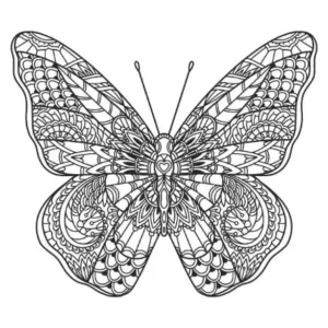 Free Butterfly Picture To Color In