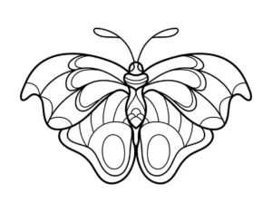 Free Butterfly Picture To Color In