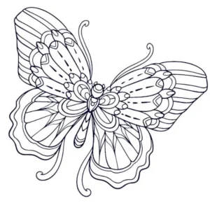 Free Butterfly Picture To Color In